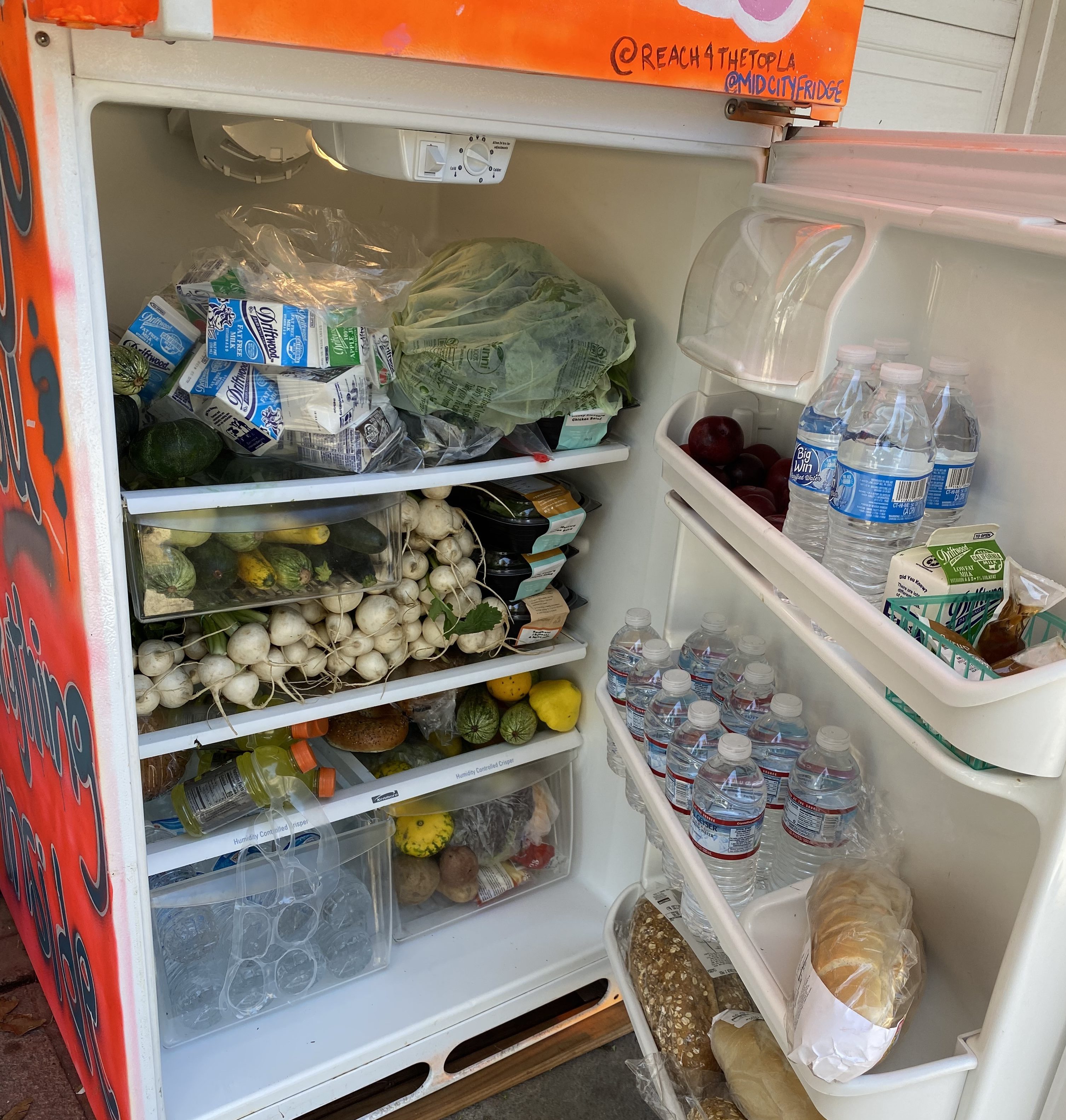 Fridge Full of Dollar Store Deals - Public Health Post