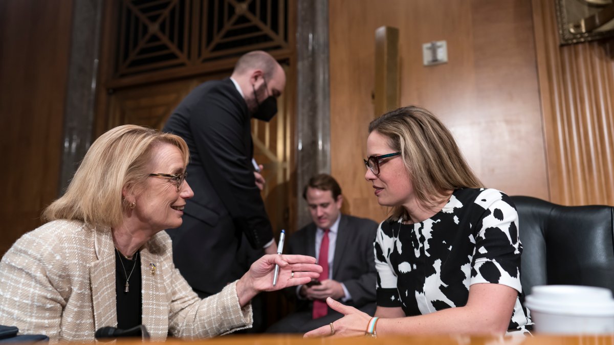 Democrats Say They've Reached Agreement on Economic Package 1