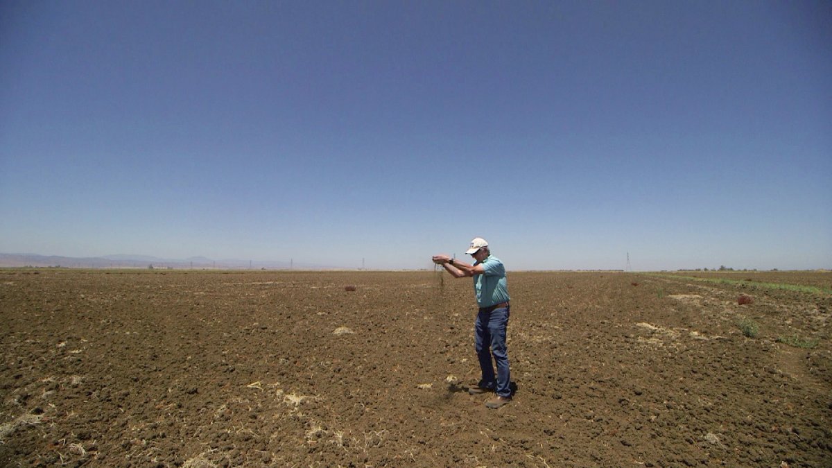 Drought Takes Toll on Northern California Rice Fields - Vimarsana News