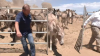 TV Legend Bob Barker Helps Open New Donkey Sanctuary