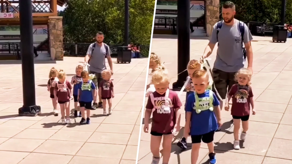 Dad Gets Shamed for Using Leash With 5-Year-Old Quintuplets – NBC Los Angeles - Vimarsana News