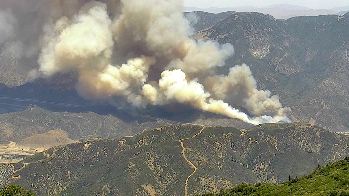 Firefighters Hold Cajon Pass Fire Under 100 Acres – NBC Los Angeles