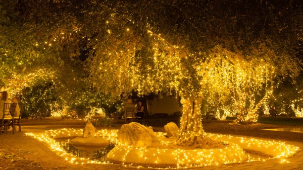 Tons of twinkle will light up ‘Lavender Nights’ at this rustic farm ...