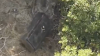 Mulholland Drive Mystery: 600-Pound Steel Safe Pulled From Hollywood Hills Canyon