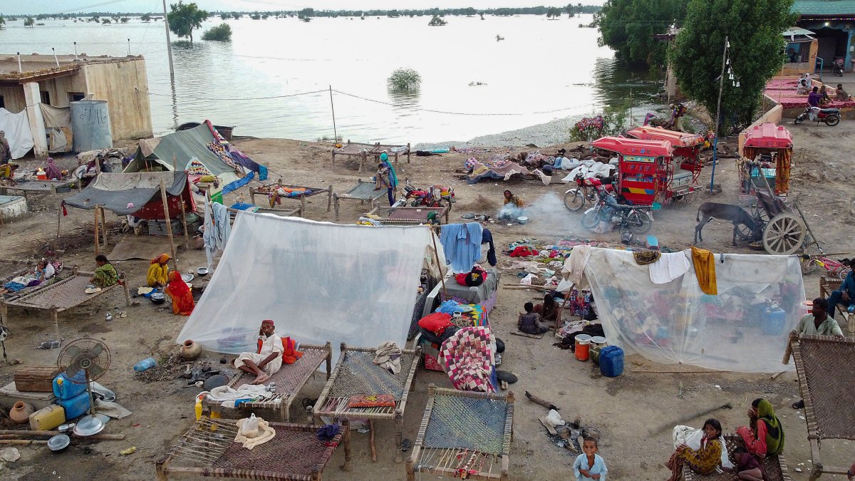 Flood Losses Covered by Insurance Are Jumping Drastically and Only a Small Fraction of What's Damaged by Floods Is Insured - Vimarsana News