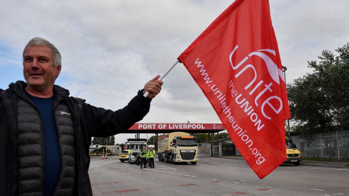 UK Dock Worker Strikes to Hit Supply Chains for Companies Including Ford - Vimarsana News