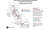 California Mosquito Season: What to Know About Ankle-Biter
