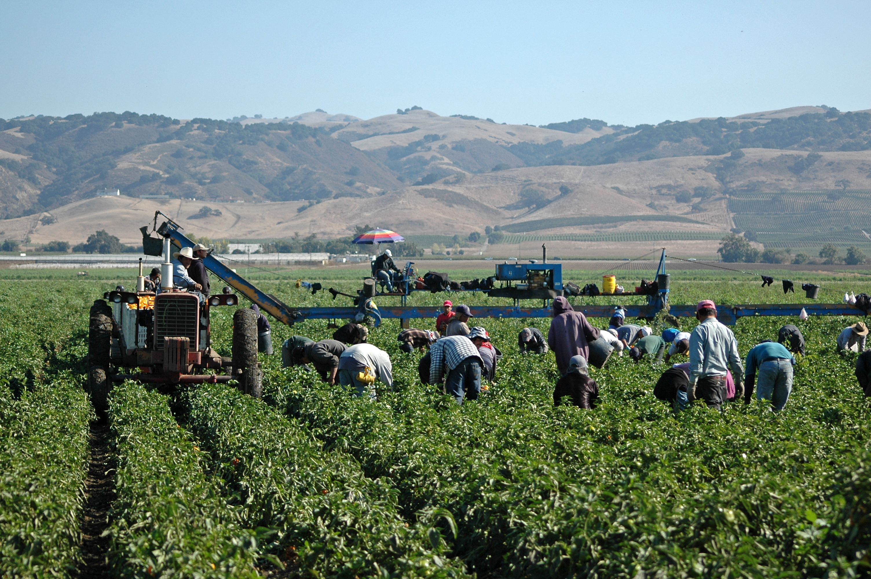 nbclosangeles.com - City News Service - LA marks Farm Workers Day following C&eacute;sar Ch&aacute;vez holiday change