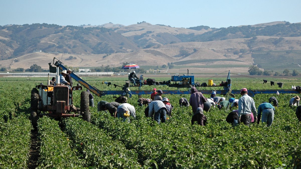 LA marks Farm Workers Day following César Chávez holiday change