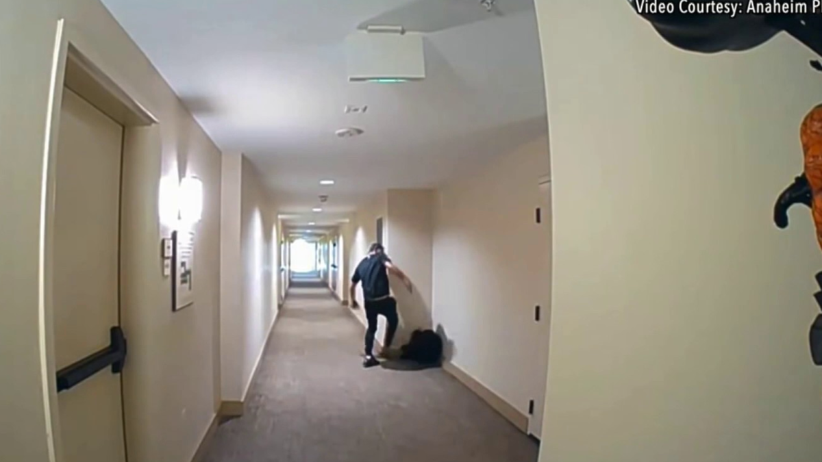 Shocking Ring Video Shows Suspected Dog Abuse in Orange County NBC