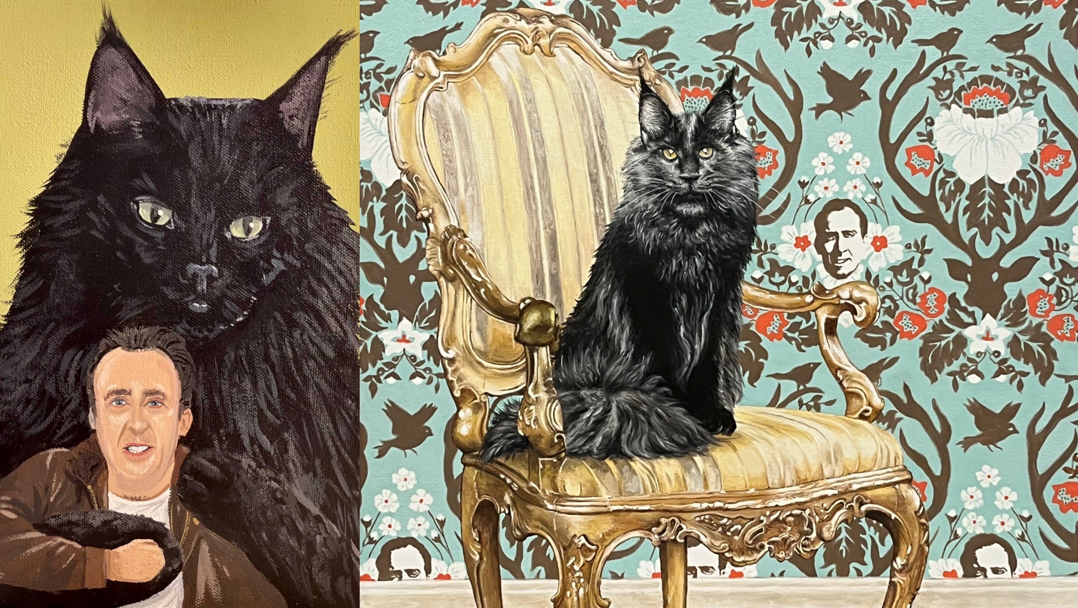 Meet Our Cats – Fancy Meow