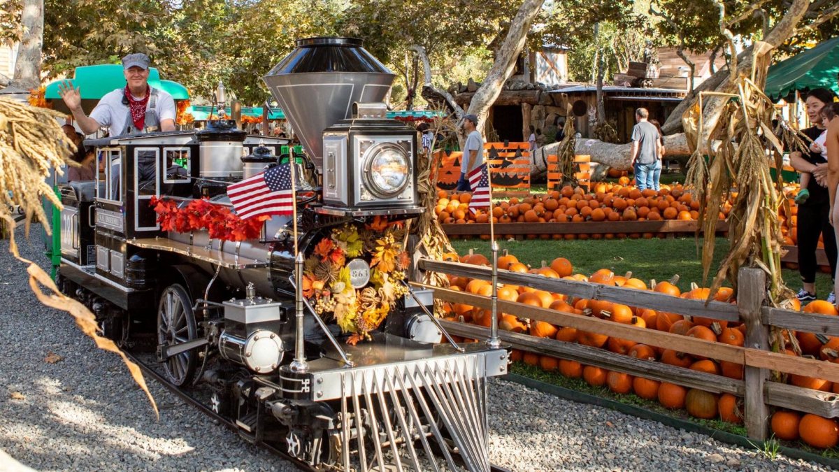 Irvine Park Railroad’s Pumpkin Patch Is TootTooting Into Fall NBC