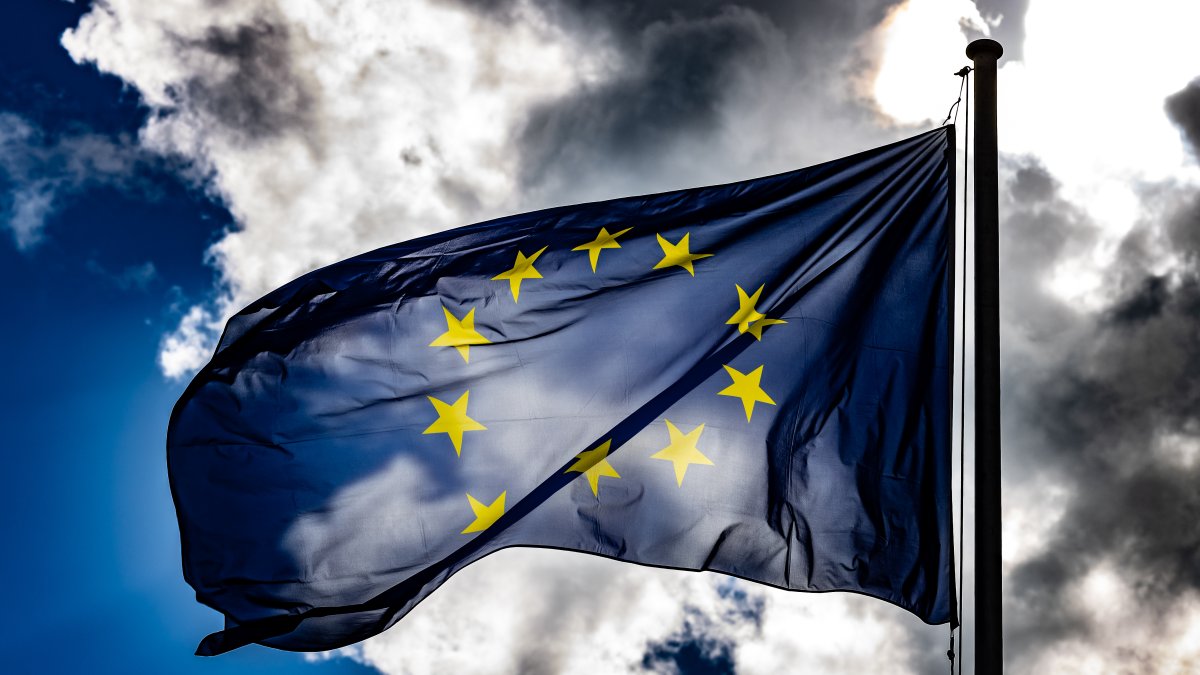 EU Approves 2035. Ban on New Gas and Diesel Cars – NBC Los Angeles - Vimarsana News
