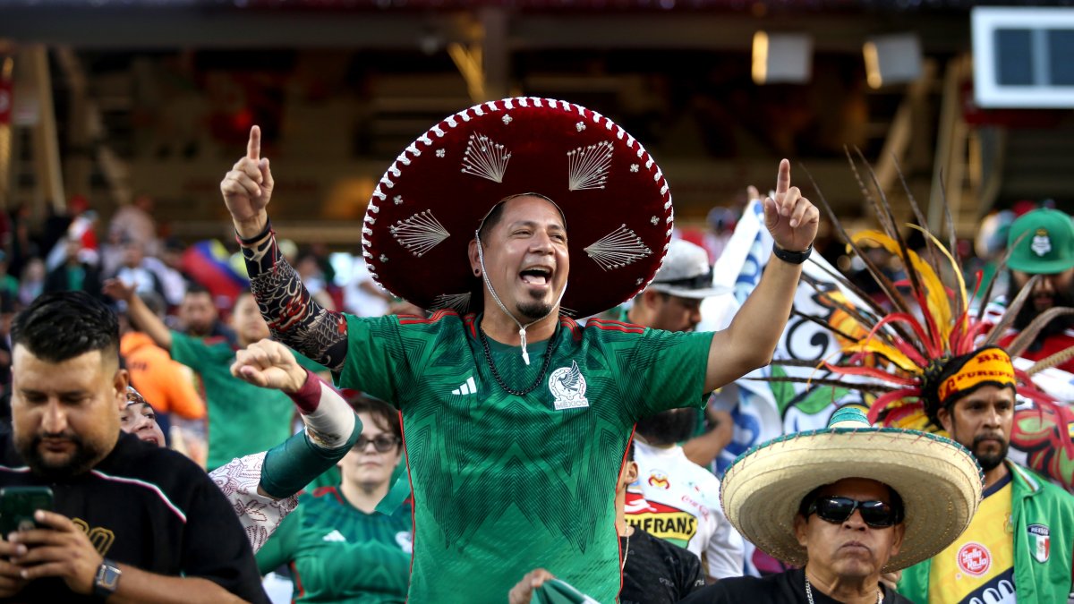 USA & Mexico World Cup Kit ~ World Cup 2010 ~ L.A. TACO