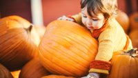 Find Family Fun This Fall Around Southern California