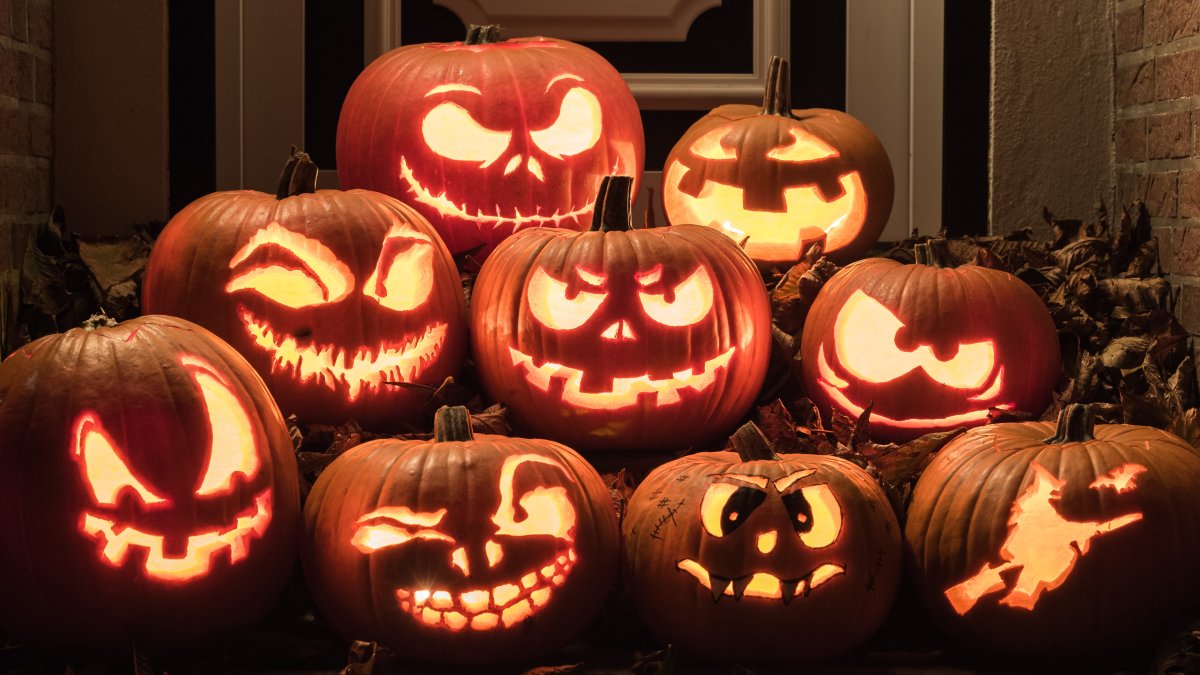Halloween in Summertime: Midsummer Scream Passes Are Now on Sale - Vimarsana News