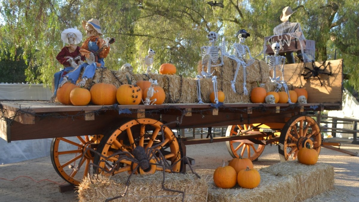 A Free ‘FallOWeen’ Festivity Opens at Heritage Hill NBC Los Angeles