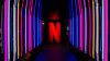‘White Horse': Director arrested for swindling $11M from unfinished Netflix show