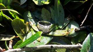 Ashley Garner shows Garner's lost wedding ring lying in a brush pile