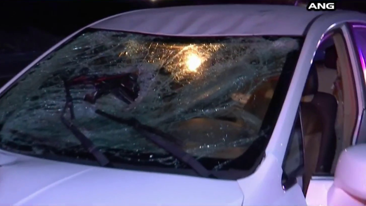 Southbound 110 Closed After Person Struck and Killed on Freeway in West Adams - Vimarsana News