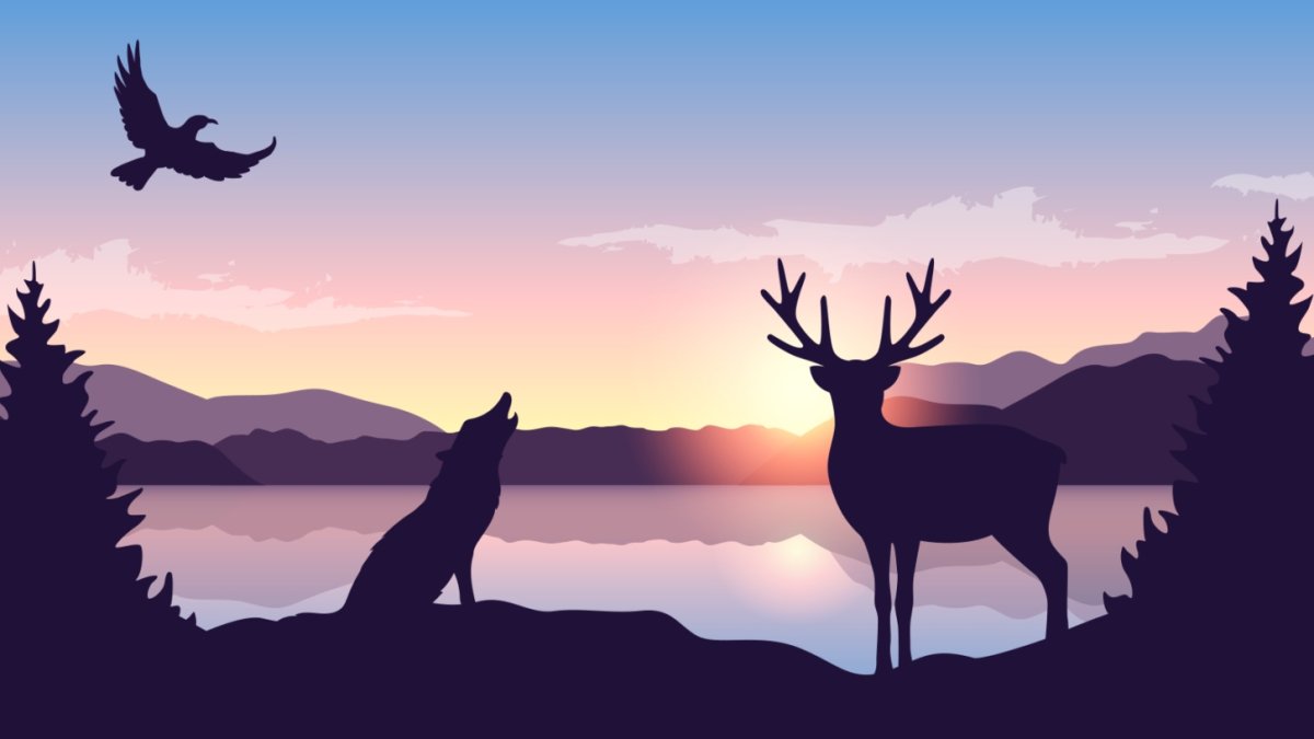This 'Twilight Safari' is about atmospheric autumn evenings among the animals – NBC Los Angeles - Vimarsana News