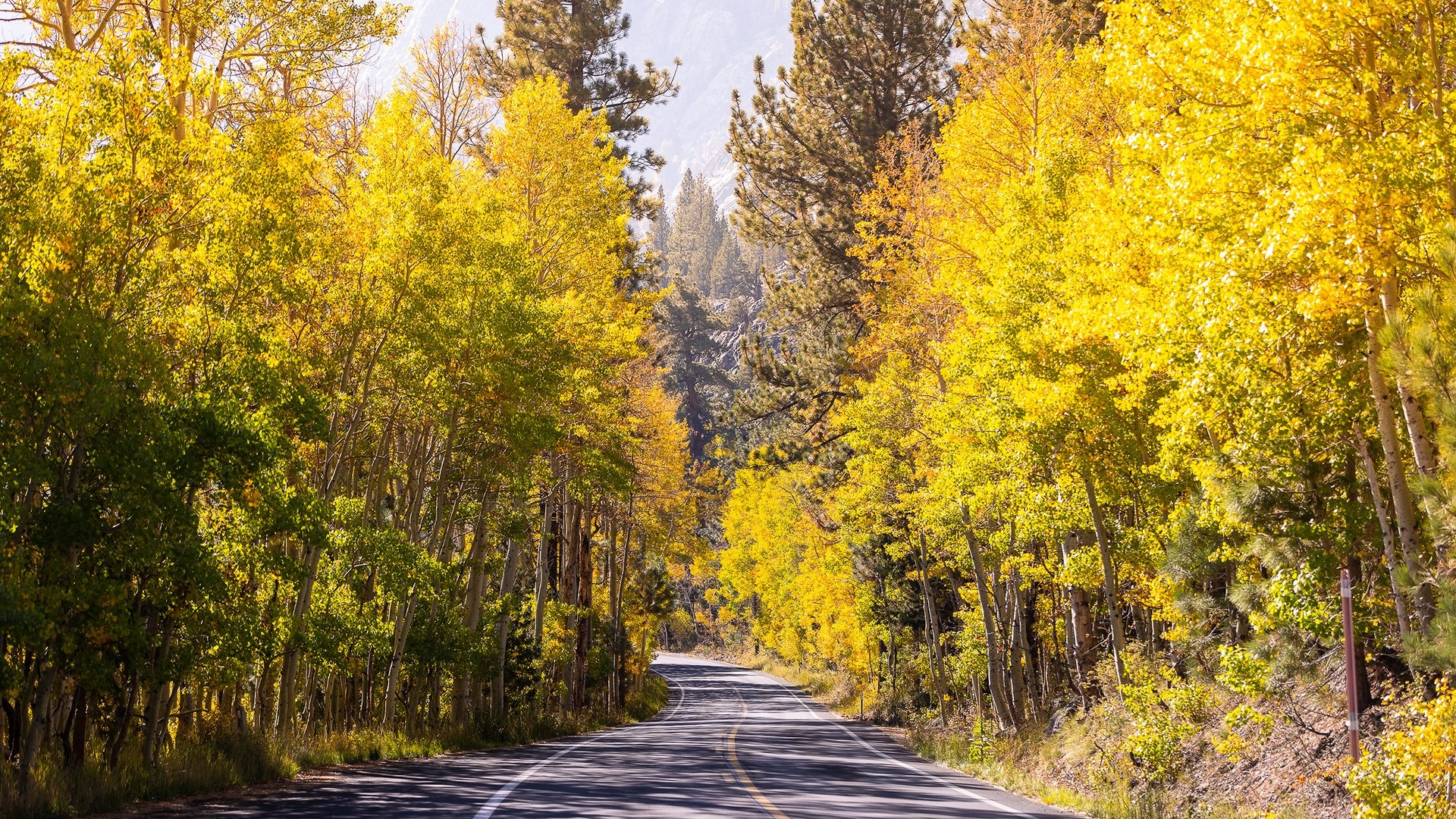 Fall Colors at Big Bear Mountain Resort