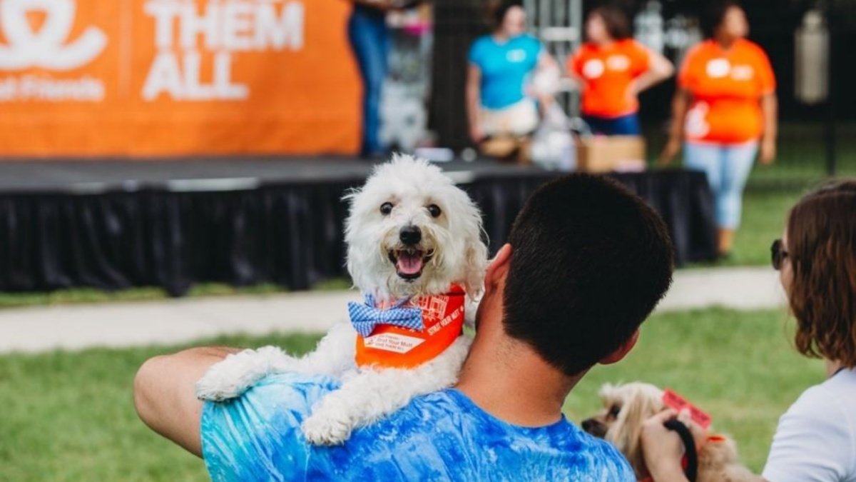 Community Mutt Strut - Pittsburgh 2023