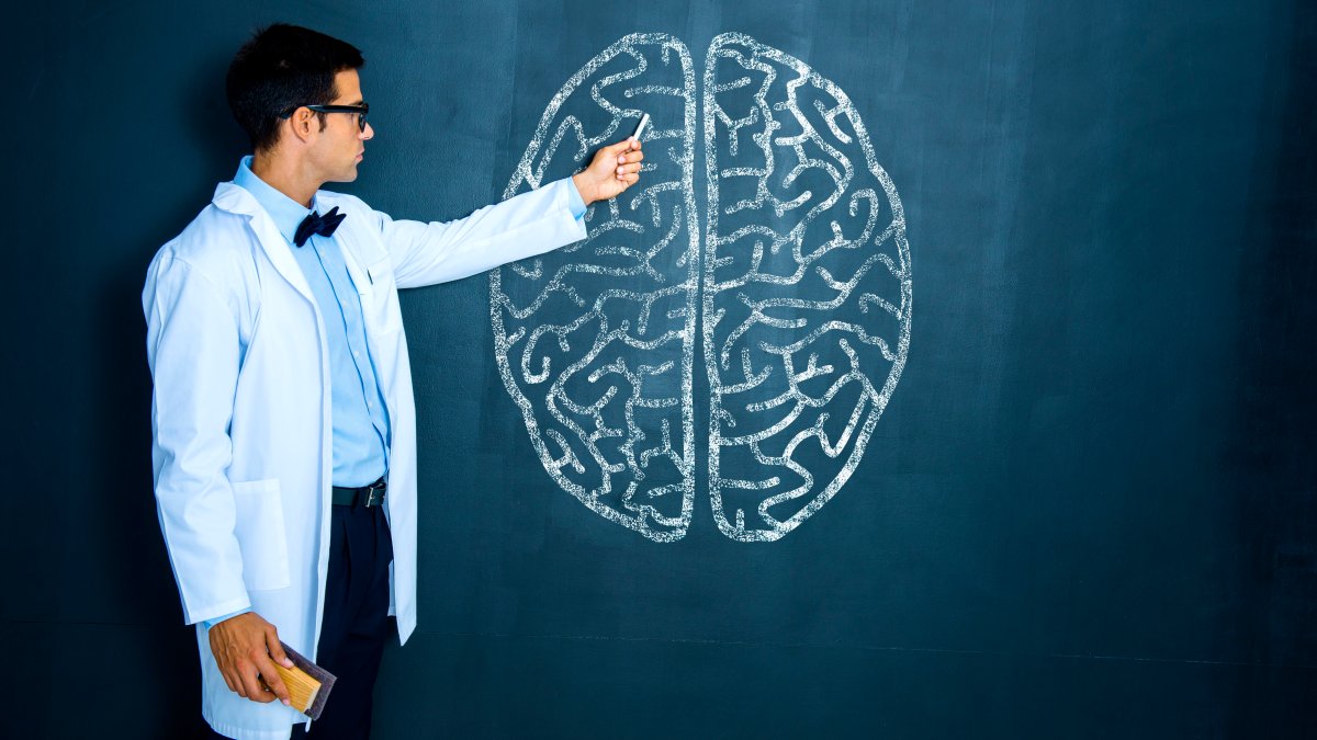 A Brain Expert Shares His 7 'Hard Rules' for Boosting Memory and Fighting Off Dementia – NBC Los Angeles - Vimarsana News