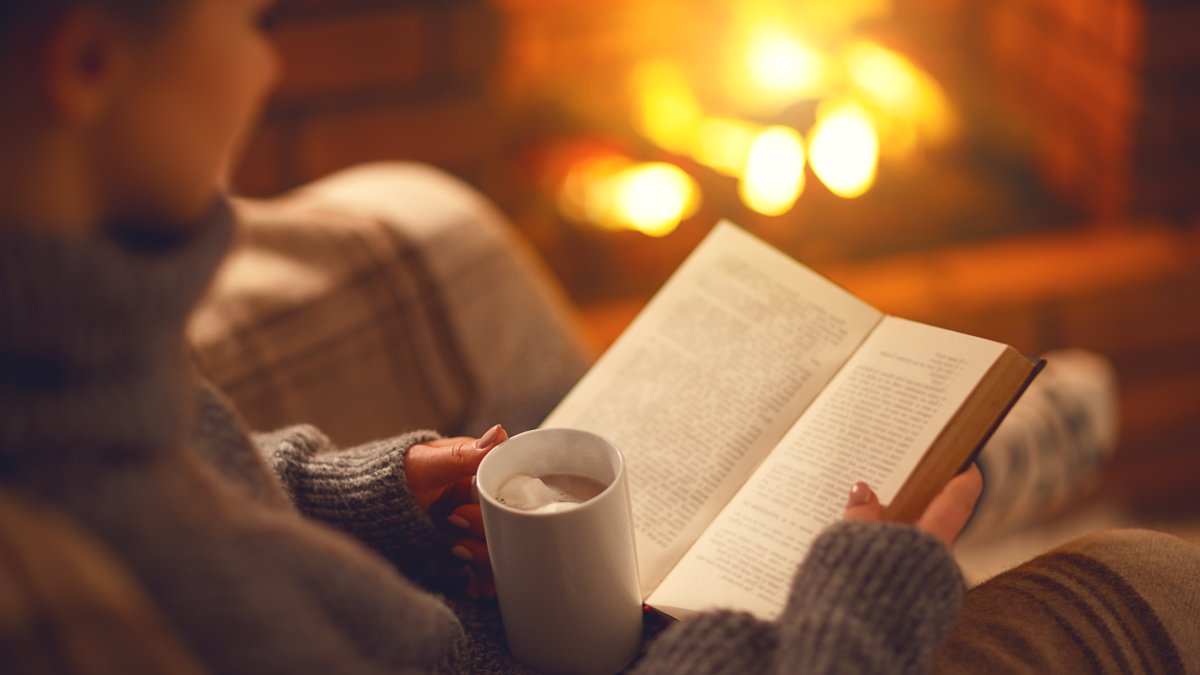 7 CEOs on the 'Innovative' and 'Timely' Books Everyone Should Read This Winter – NBC Los Angeles - Vimarsana News