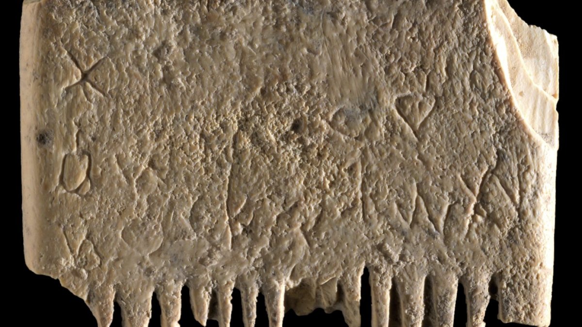 Archaeologists in Israel Find Ancient Comb With an Important Message About Lice – NBC Los Angeles - Vimarsana News