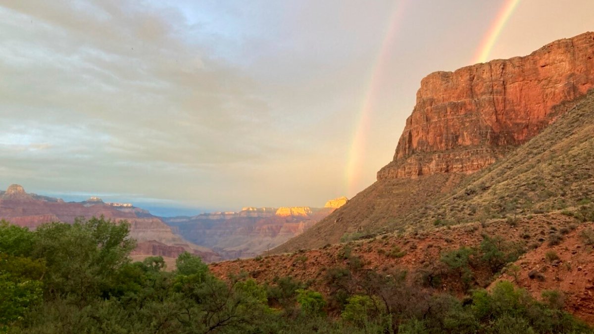 Grand Canyon Park Changes Campground Name That Haunted Tribe – NBC Los Angeles - Vimarsana News