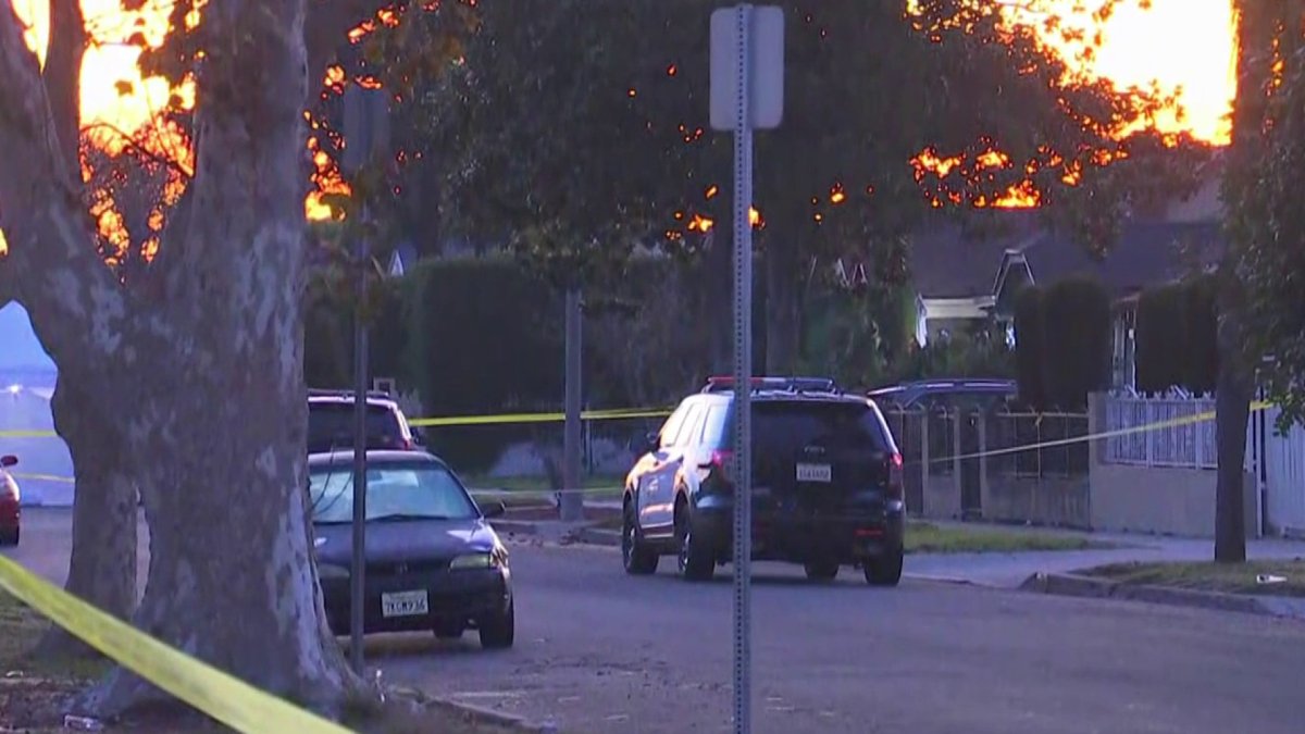 One dead after shooting in Harvard Park – NBC Los Angeles

 | Media Pyro