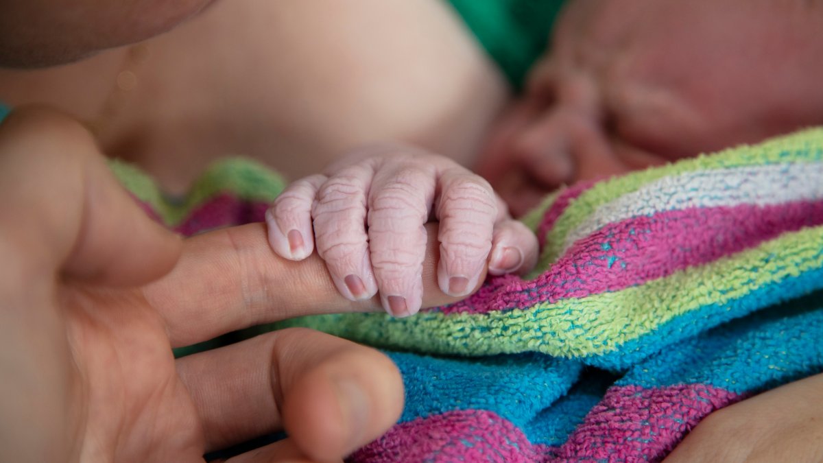 Home Births Increased in the US During COVID-19, Data Shows – NBC Los Angeles - Vimarsana News
