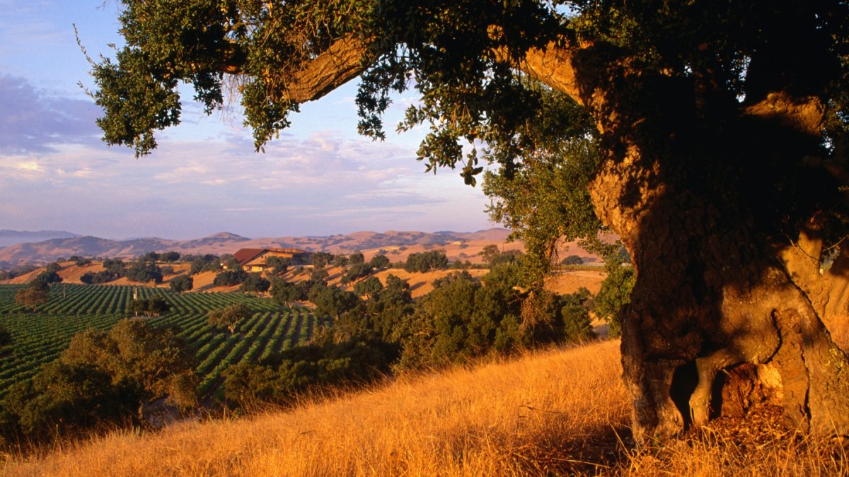 Sup Around the Santa Ynez Valley at This Weekend-Long Foodie Fest - Vimarsana News