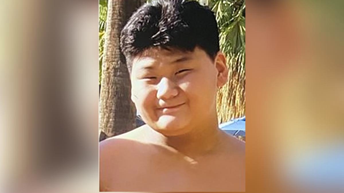 13-Year-Old Boy Reported Missing in LA's Windsor Square Area – NBC Los  Angeles