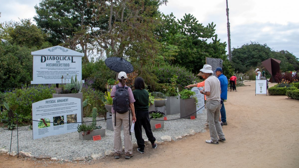 See South Coast Botanic Garden's 'Diabolical' Display, if You Dare – NBC Los Angeles - Vimarsana News