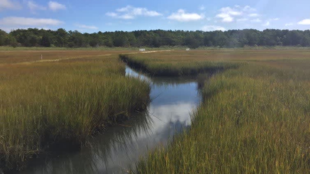 EPA Issues Clean Water Rule That Repeals Trump Administration Changes - Vimarsana News