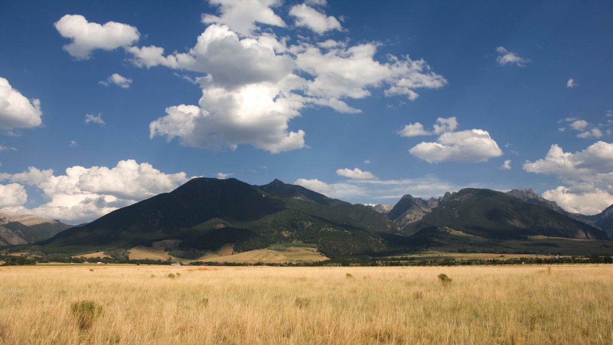 How Government Spending Bill May Help Prevent Abuse of Federal Tax Incentives for Land Conservation - Vimarsana News