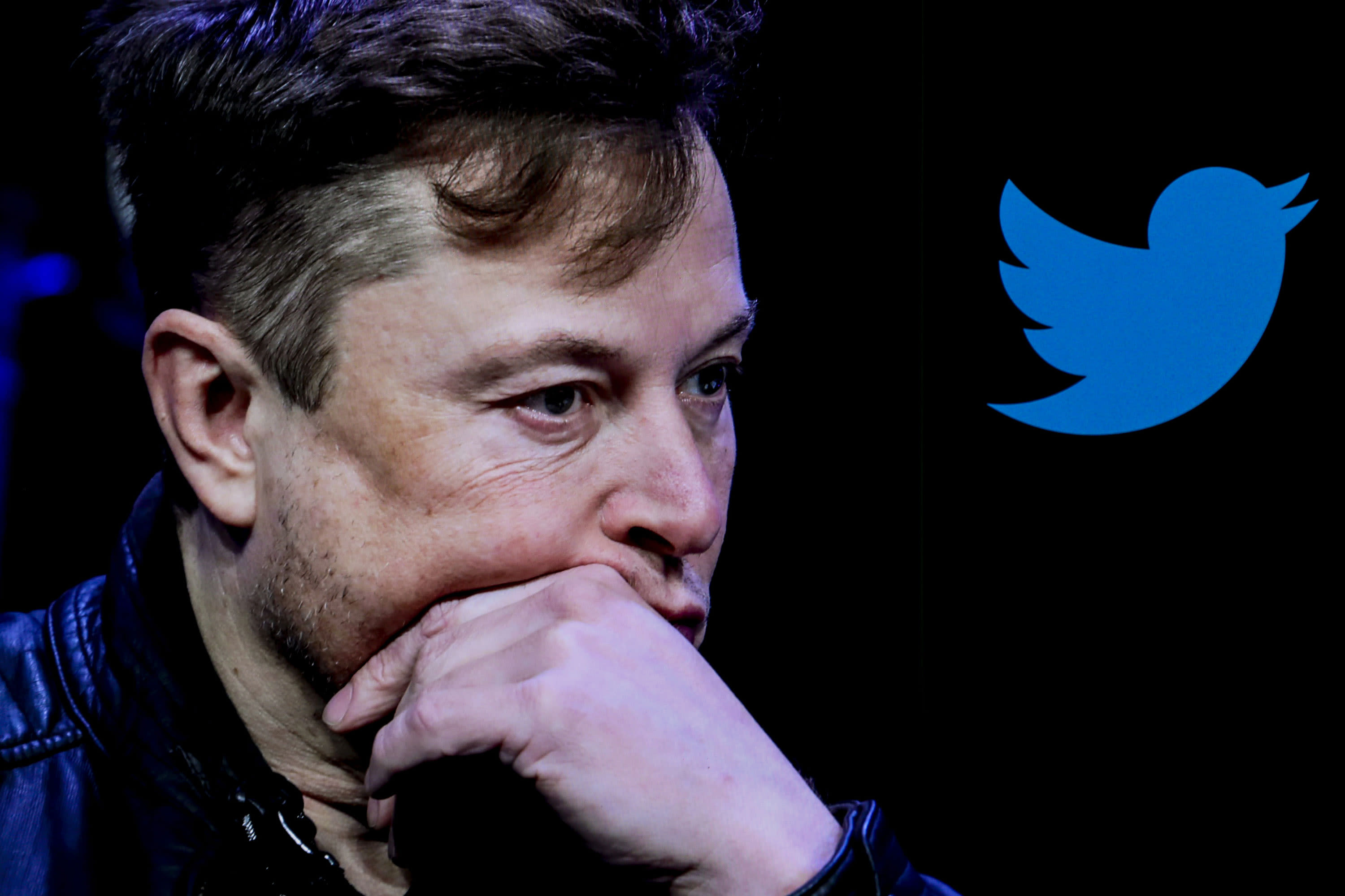Elon Musk Polls Twitter on Whether He Should Step Down. Users Vote Yes.