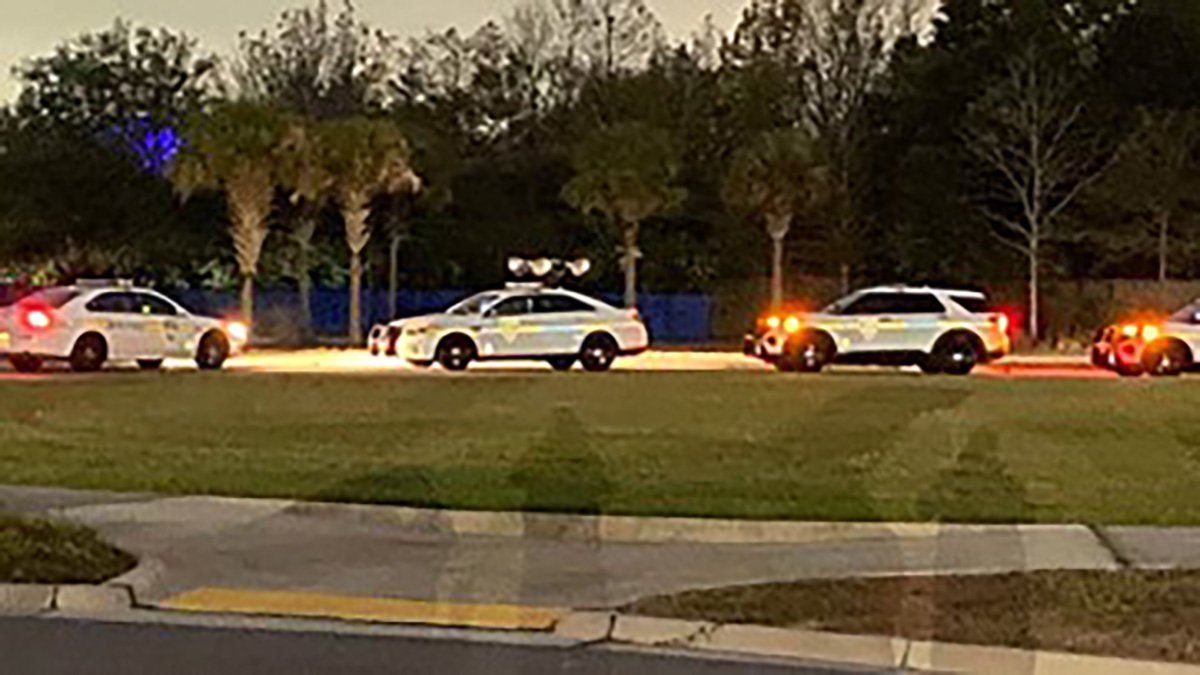 Zookeeper Injured During Bear Attack at Jacksonville Zoo – NBC Los Angeles - Vimarsana News