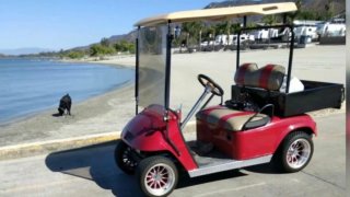 David Stotler's golf cart with his dog near the water in the background