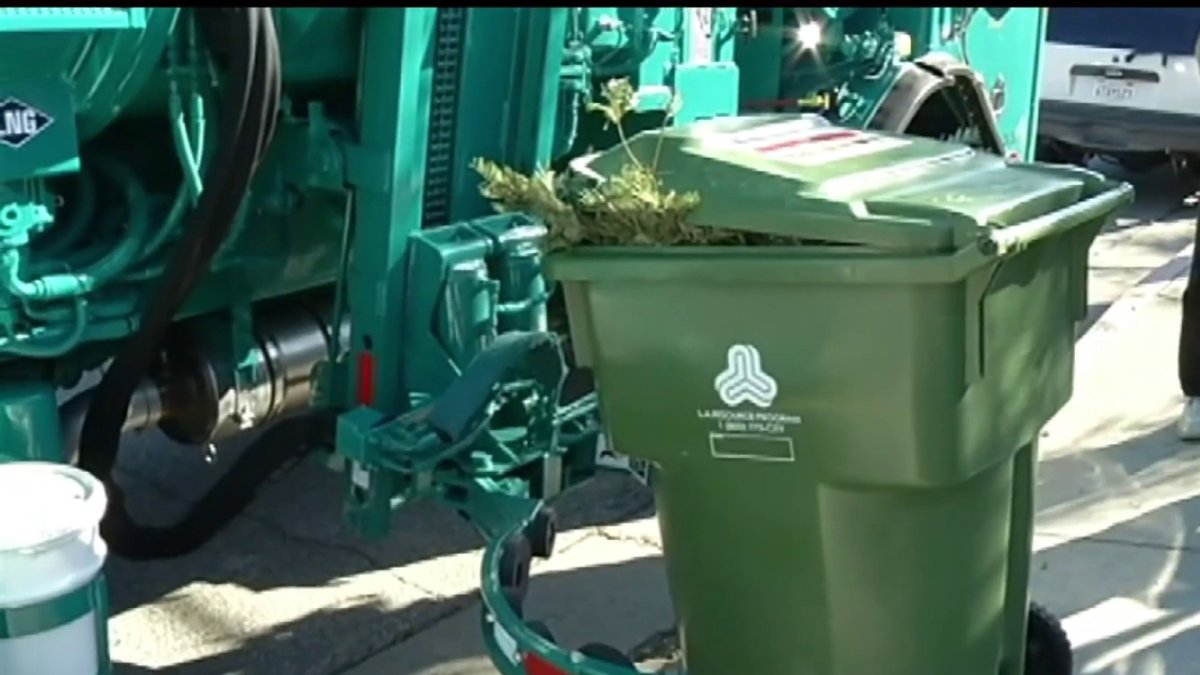 Long Beach Tree Recycling Begins NBC Los Angeles