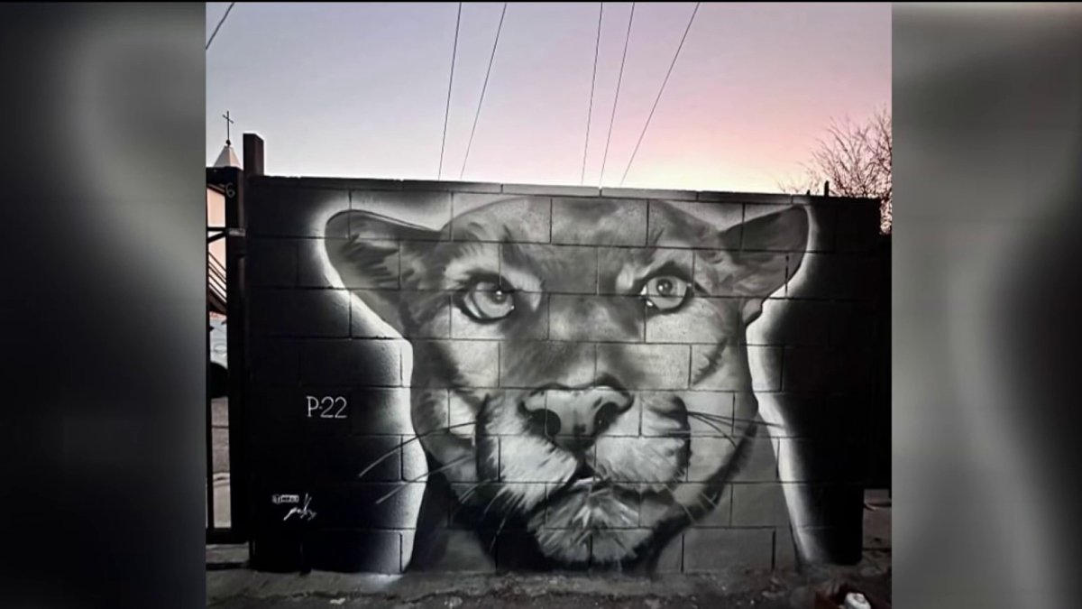 Artist Honors P-22 With Mural in East LA