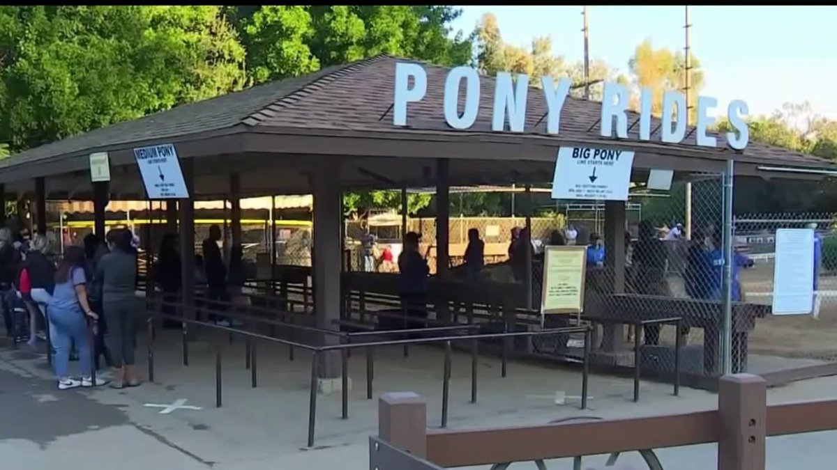 Griffith Park Pony Rides and City of LA at Odds Over Death of Four Ponies