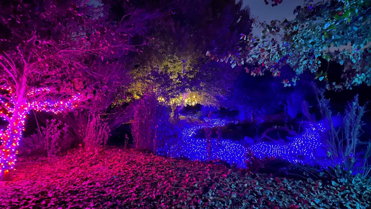 ‘Enchanted’ Lights Are Shimmering at a Beautiful Buellton Garden NBC