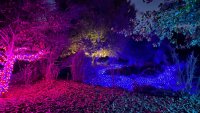 ‘Enchanted' Lights Are Shimmering at a Beautiful Buellton Garden