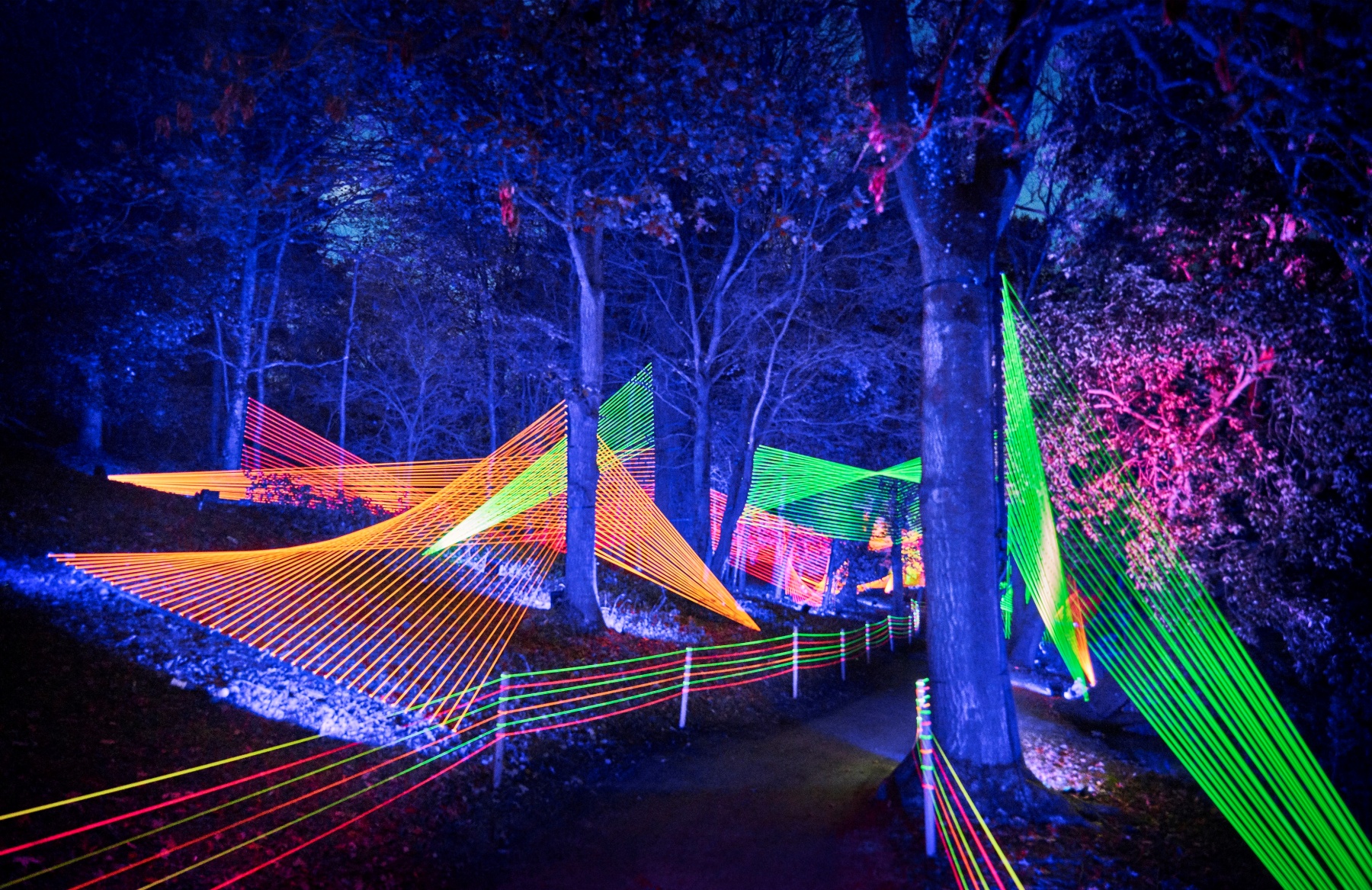 ‘Lightscape’ Value Packs Are Now Twinkling – NBC Los Angeles