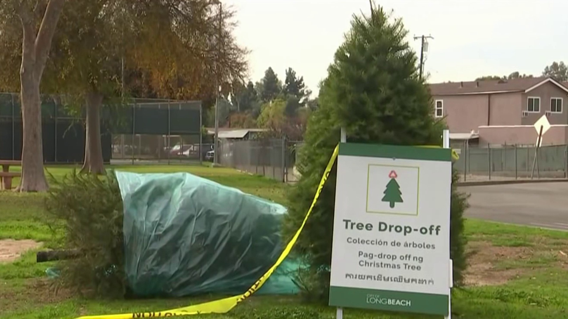 Long Beach Residents Can Recycle Christmas Trees Through City Program