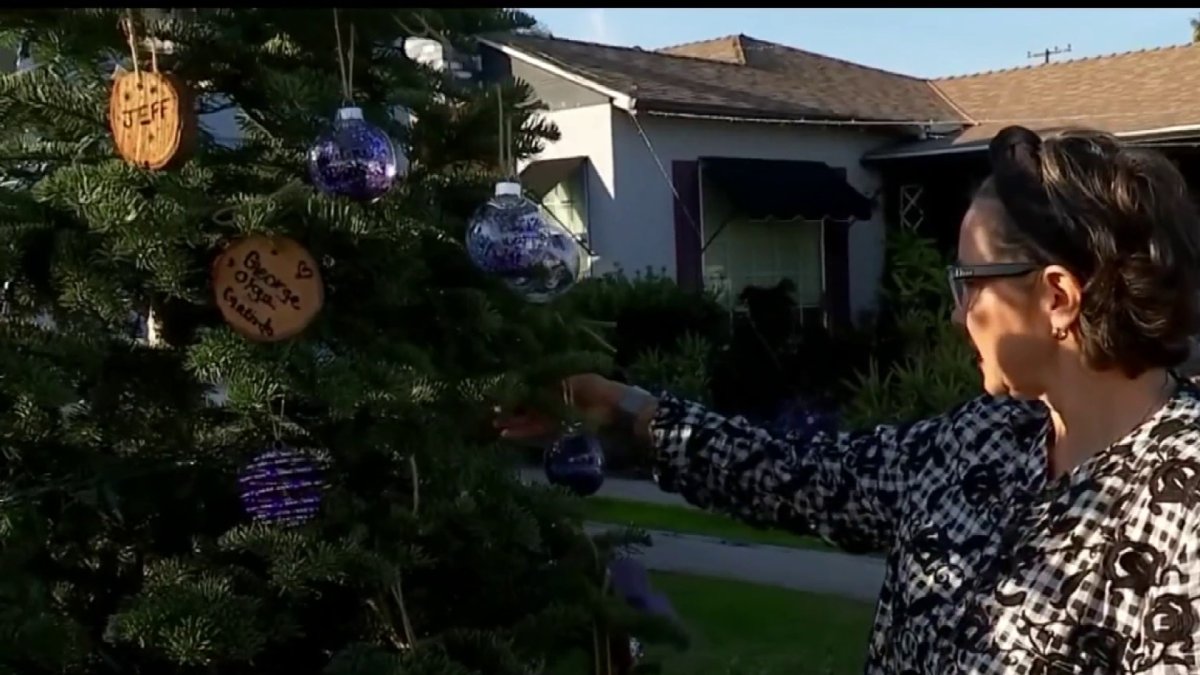 OC Mother Creates Fentanyl Awareness Christmas Tree – NBC Los Angeles - Vimarsana News