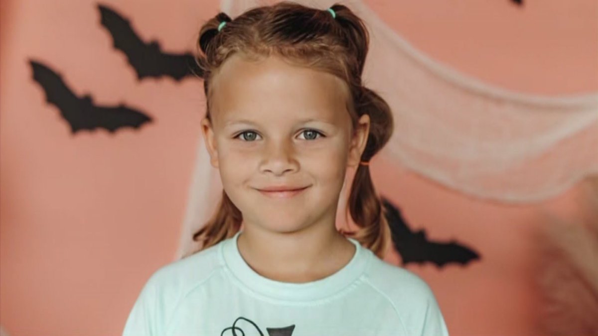 FedEx Driver Hit Girl With Truck, Strangled Her After She Said She Was Going to Tell Her Dad: Affidavit – NBC Los Angeles - Vimarsana News